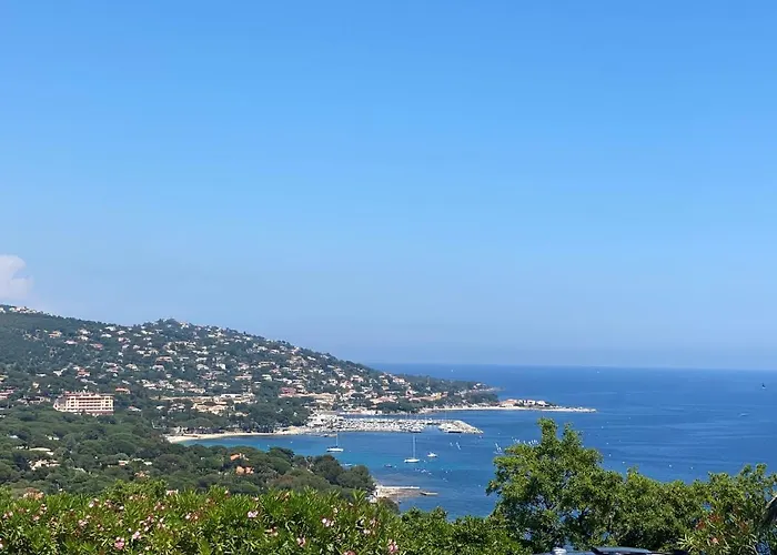 فيلة Louise سانت ماكسيم